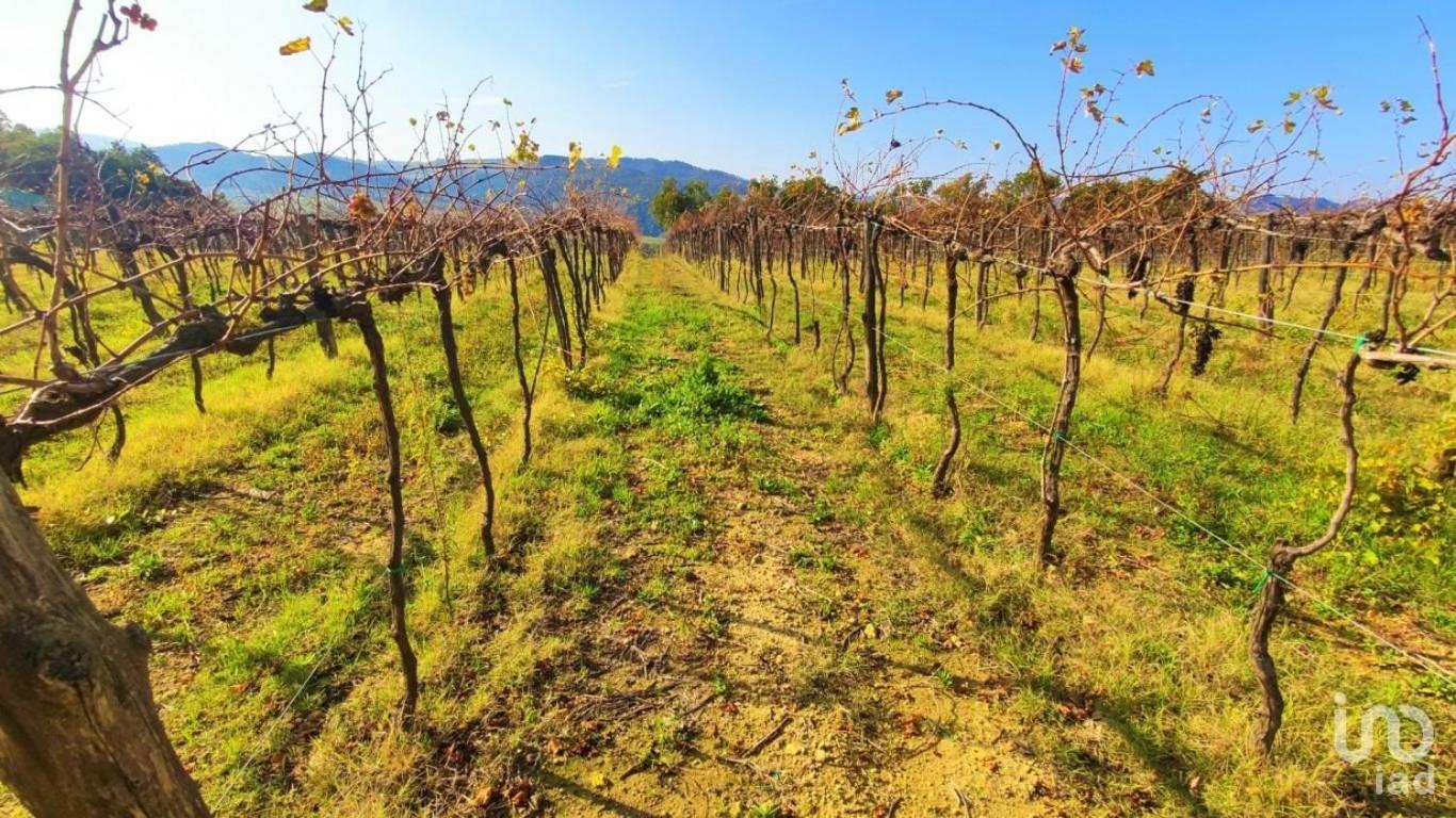 Podere Mona بومارانسي المظهر الخارجي الصورة